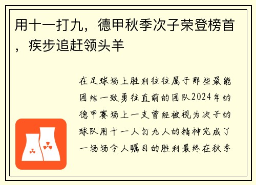 用十一打九，德甲秋季次子荣登榜首，疾步追赶领头羊